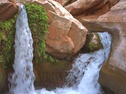 Deer Creek, Grand Canyon Deer Creek, Grand Canyon